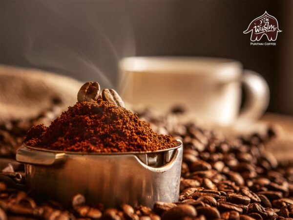 Arabic Coffee Beans