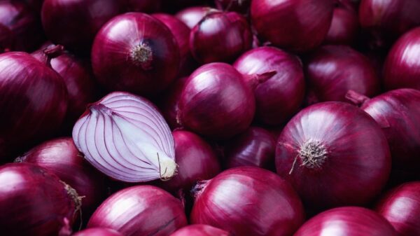 Fresh Red Onions